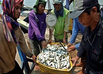 Ikan hasil tangkapan nelayan