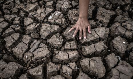 Menurut WMO, dampak El Nino pada suhu global biasanya terjadi tahun berikutnya, dalam hal ini pada 2024.