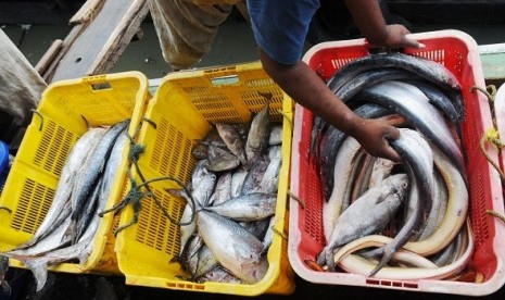 The market in Africa and Middle East offered great potential for Indonesian fishery. (illustration)