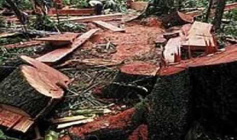 Ilustrasi illegal logging. Balai Penegakan Hukum Lingkungan Hidup dan Kehutanan KLHK Wilayah Sulawesi Seksi III Manado menyelesaikan berkas perkara kasus penebangan ilegal di kawasan Suaka Margasatwa (SM) Manembo-nembo, Kabupaten Minahasa Selatan.