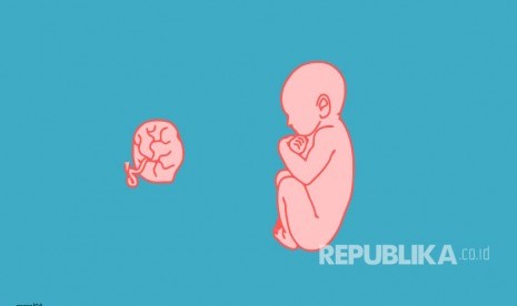 Janin bayi (ilustrasi). Kepolisian Daerah Bali menyatakan tidak menemukan bunker atau tempat pembuangan janin saat olah TKP dalam kasus dokter gigi mantan narapidana yang membuka praktik aborsi ilegal.