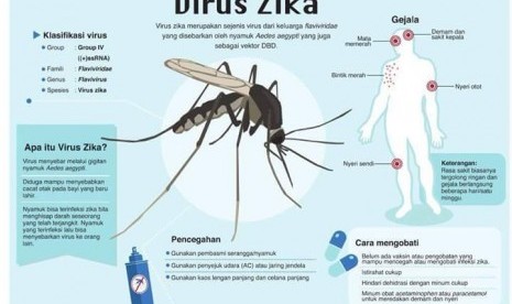 Ilustrasi gejala tertular virus zika