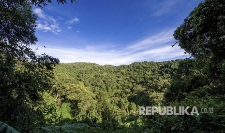 Komite Akreditasi Nasional Serahkan Sertifikasi PEFC Terkait Produk Hasil Hutan