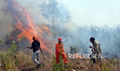 Ilustrasi Kebakaran Hutan