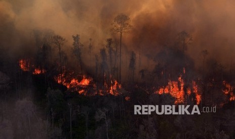 Ilustrasi Kebakaran Hutan. Kebakaran hutan skala besar terjadi di Chile, menyebabkan sedikitnya 23 orang meninggal dunia. Pemerintah Chile pada Sabtu (4/2/2023) memperpanjang perintah darurat ke wilayah lain, karena gelombang panas mempersulit upaya untuk mengendalikan kebakaran.