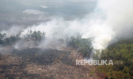 Total lahan terbakar di Siak 98,47 hektare, terluas se Provinsi Riau awal 2020. Ilustrasi Kebakaran Hutan