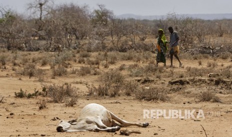 Ilustrasi kekeringan di Afrika