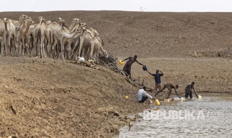 Pola iklim El Nino telah menyebabkan penurunan rata-rata curah hujan di Afrika bagian Selatan.