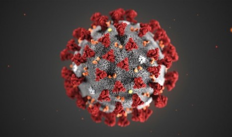 Virus corona tipe baru penyebab Covid-19 (Ilustrasi). Virus corona yang telah bermutasi ditemukan di Afrika Selatan dan masih berpotensi mengusik penyintas Covid-19..