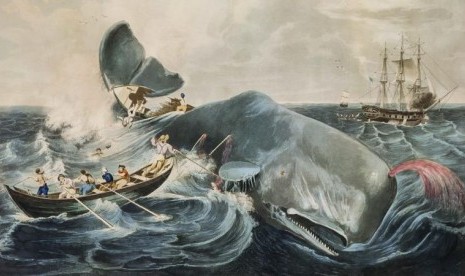 Ilustrasi - Paus sperma menabrak kapal pemburu minyak paus Essex yang bertolak dari Nantucket, Massachusetts. pada 1820.