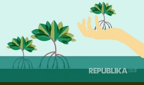 PNM menanam sebanyak 10 ribu bibit mangrove melalui program CSR di Mangrove Park Lampulo. (ilustrasi)