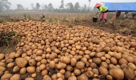 Ilustrasi petani