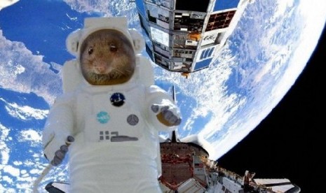 Gravitasi yang kecil di ISS bisa membuat beragam benda melayang dengan mudah ke berbagai sudut tak terduga di stasiun antariksa tersebut. 