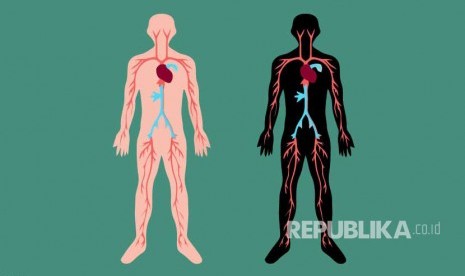 iBlastoid merupakan model embrio manusia yang terbuat dari sel-sel kulit.