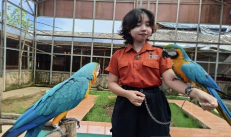 Ilustrasi taman burung di Palembang.