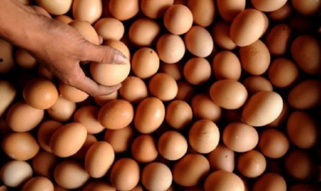 Ilustrasi telur. Harga telur masih tinggi di sejumlah daerah tembus Rp30 ribu per kg