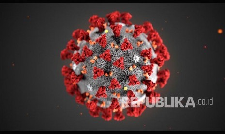 Ilustrasi virus corona dari Pusat Pengendalian dan Pencegahan Penyakit (CDC) Amerika Serikat. Sifat unik dalam struktur virus Covid-19 jelaskan mengapa penularannya sangat cepat.