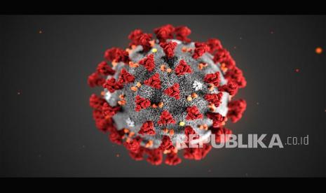 IDI: Varian Baru Virus Corona tak Pengaruhi Hasil Tes PCR. Ilustrasi virus corona dari Pusat Pengendalian dan Pencegahan Penyakit (CDC) Amerika Serikat.