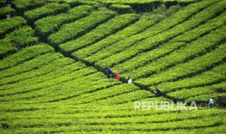 Nabi Muhammad tak Mempedulikan Orang yang Berkhianat