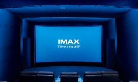 低価国産 IMAX 大 ２本 マルカン商会様専用 t6Y4M-m19929566678