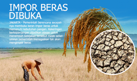 Impor Beras Dibuka