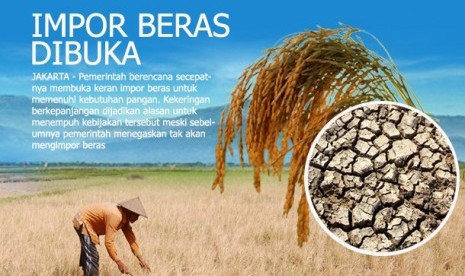  Impor Beras Dibuka