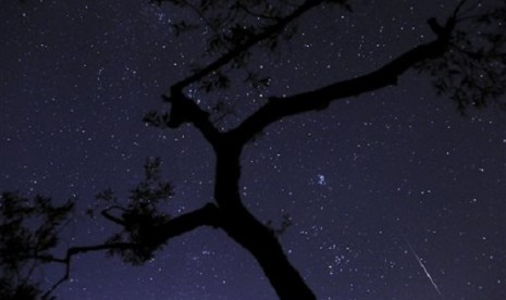 In this photo taken with long shutter speed, a meteor sparks, lower right, while entering the earth's atmosphere behind an olive tree during the Perseids Meteor Shower, in Fanos village, central Greece, on Saturday, Aug. 10, 2013. 