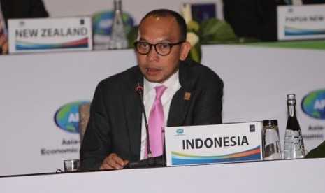 Indonesia Finance Minister Chatib Basri at the APEC Finance Ministers' Meeting news conference in Bali, Indonesia