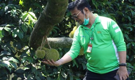 Indonesia yang terletak di Katulistiwa dianugerahi plasma nutfah yang melimpah. Salah satunya adalah buah tropis seperti durian  yang dikenal dengan julukan Raja Buah. Di kawasan Asia Tenggara, buah yang berasal dari Kalimantan ini memiliki nilai ekonomi yang tinggi. Di antara buah tropis lainnya, harga jual durian pun cukup menjanjikan. 