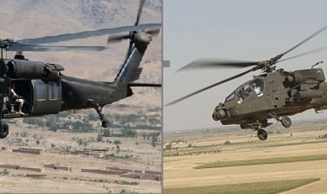 Indonesian Army still studies itts plan to purchase either Blackhawk type (left) or Apache. (illustration)  