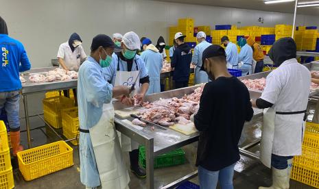 Industri peternakan ayam mampu menggerakan roda ekonomi.