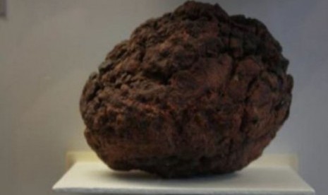    Inilah batu meteor yang digasak maling dari sebuah museum di Queensland. Nilainya di pasat gelap mencapai Rp 500 juta.