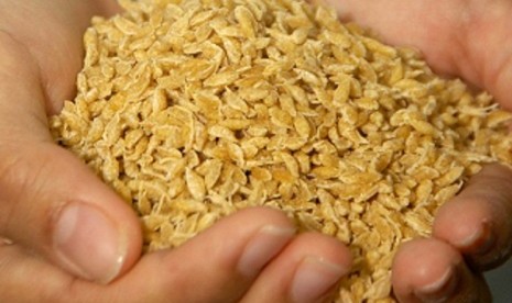 IPB innovates artificial rice.