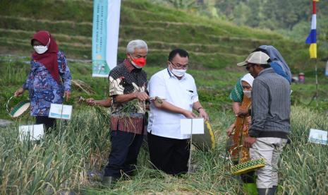 IPB  University meresmikan Learning Centre Bawang Putih di Desa Tuwel, Kecamatan Bojong, Kabupaten Tegal, Jawa Tengah, Kamis  (12/8/2022).  Tampak Rektor IPB University, Prof Arif Satria (berbaju putih) dan Gubernur Jawa Tengah, Ganjar Pranowo (kedua dari kiri). 