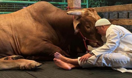 Irfan Hakim (kanan) bersama sapi kurbannya bernama Wariso. Setiap Idul Adha, momen Irfan bersama sapinya membuat warganet ikut menangis.