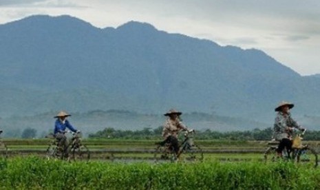 Iring-iringan buruh tani sawah saat berangkat ke area persawahan Desa Wonorejo, Kecamatan Makutana, Luwu Timur, Sulsel, Kamis (2/2)