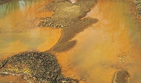 Iron hydroxide precipitate stains a stream receiving acid drainage from surface coal mining. (Illustration)