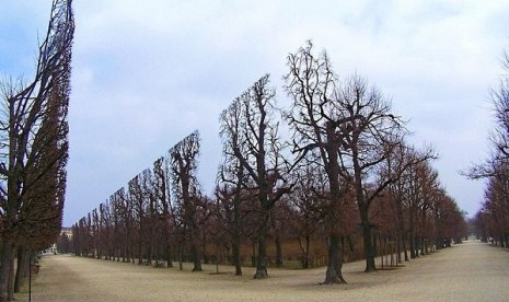 Istana Schonbrunn