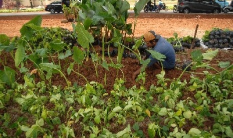 Isu lingkungan perlu dikemas dengan ringan dan menarik.