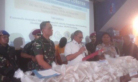 Jajaran BKIPM Bandung bersama Pangkalan TNI AL Bandung, Direktorat Polair Polda Jabar, Lantamal III Jakarta dan Komando Armada I TNI AL berhasil mengagalkan penyelundupan benih lobster dan jenis mutiara senilai Rp 33.2 miliar, Selasa (27/8). 