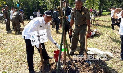 Jajaran Direksi PJT II Jatiluhur dan pejabat di lingkungan Pemkab Purwakarta, menanam pohon jenis keras di kawasan hutan Waduk Jatiluhur, Rabu (28/3). Penanaman pohon ini, terkait dengan peringatan hari air sedunia.