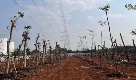 Jakarta Industrial Estate Pulogadung (JIEP) selaku pengelola sekaligus pengembang Kawasan Industri Pulogadung di Jakarta Timur telah menertibkan bangunan liar di lokasi hutan kota yang dikelola perusahaan tersebut.