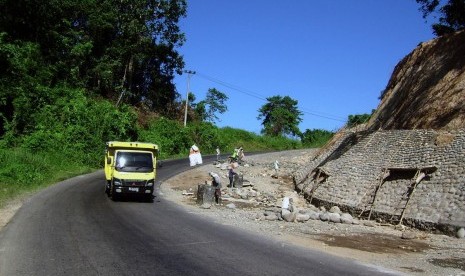 Jalan Lintas Sumatera/Jalinsum (ilustrasi).