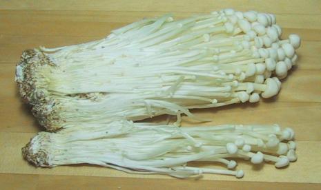  Jamur Enoki 