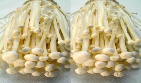  Jamur Enoki 