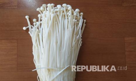  Jamur Enoki.  Menyikapi berita pemusnahan jamur enoki berbakteri yang dilakukan perusahaan importir asal Korea atas rekomendasi Kementerian Pertanian beberapa hari lalu, Kepala Biro Humas dan Informasi Publik Kementan Kuntoro Boga Andri meminta masyarakat tidak perlu resah. 