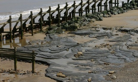 Jejak kaki manusia purba berusia 800 ribu tahun ditemukan di pantai di Norfolk, Inggris. 