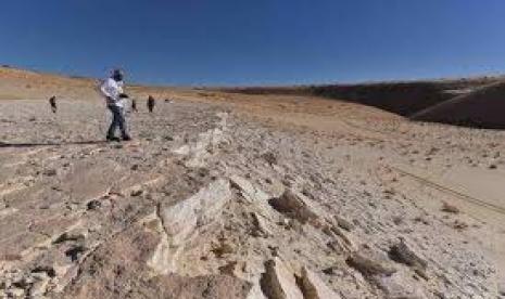 Tanah Arab Terbagi atas Daerah Subur dan Tandus. Foto:    Jejak kaki manusia purba di gurun Nefud, Saudi Arabia