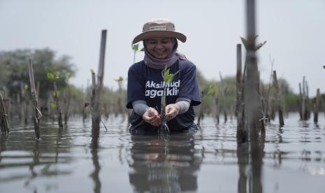 Jejaring Penjaga Laut dan EcoDefender bersama ribuan orang muda yang tersebar di lebih dari 521 titik seluruh Indonesia menghelat aksi serentak jaga bumi dalam Aksi Muda Jaga Iklim (AMJI) 2023, Sabtu (28/10/2023).