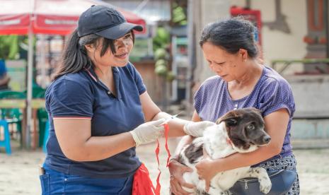 Bali tercatat sebagai provinsi dengan jumlah kasus rabies terbanyak di Tanah Air./ilustrasi